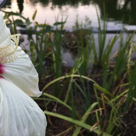 Farmház Tenuta La Pergola *
