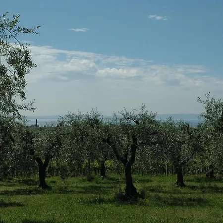 Tenuta La Pergola Bardolino