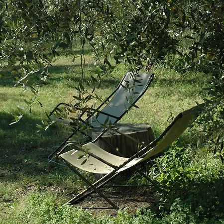 Séjour à la ferme Agriturismo Tenuta La Pergola Bardolino