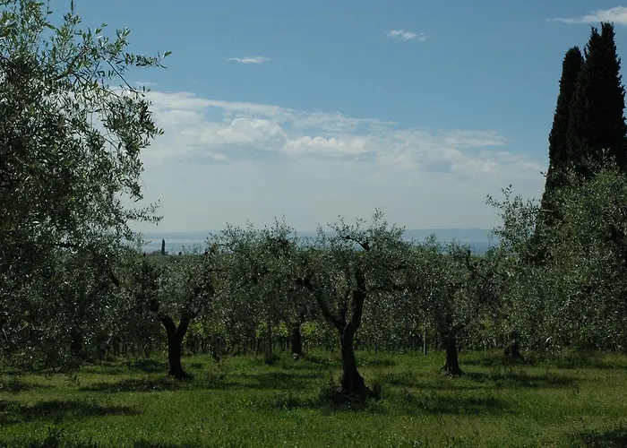 Tenuta La Pergola 바르돌리노