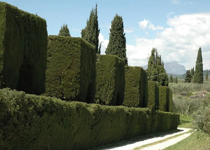Tenuta La Pergola