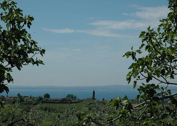 Farm stay Tenuta La Pergola