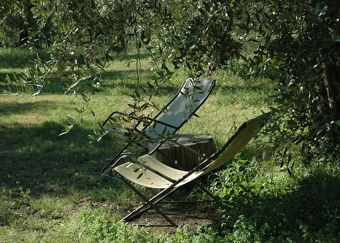 Farm stay Tenuta La Pergola Bardolino