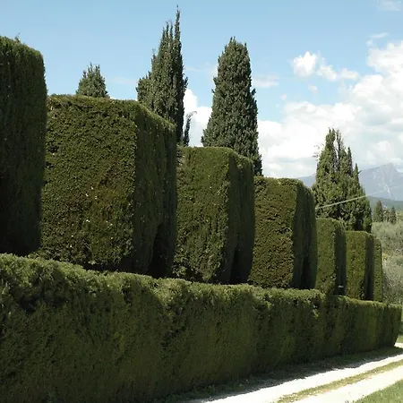 Agriturismo Tenuta La Pergola