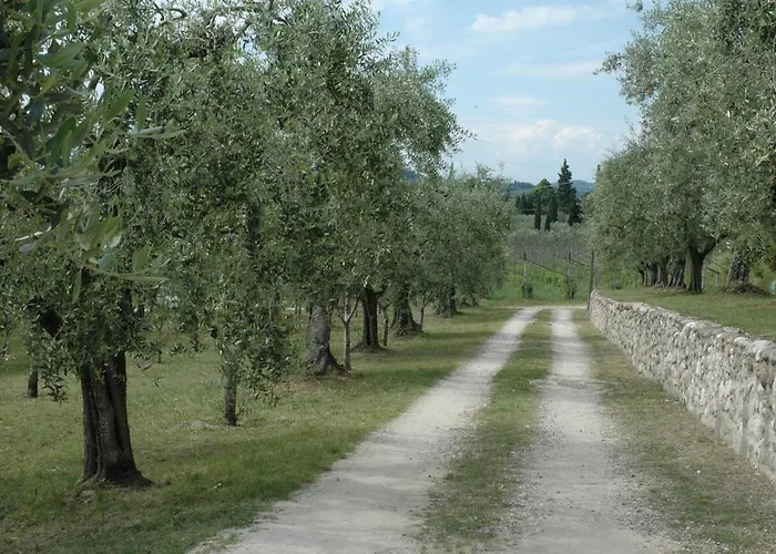 Tenuta La Pergola