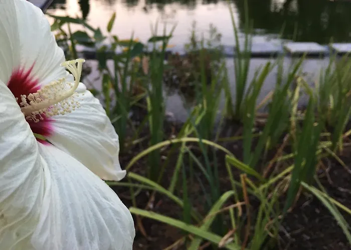 Farmház Tenuta La Pergola *